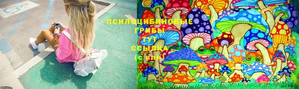 ALPHA PVP Алексеевка