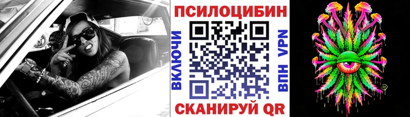 купить наркотик  Королёв  сайты даркнета какой сайт  Псилоцибиновые грибы ЛСД 